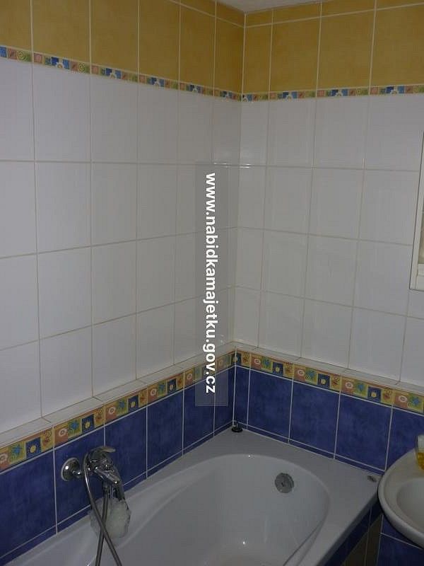 Byt 1+kk · 31 m² · České Budějovice - 3
