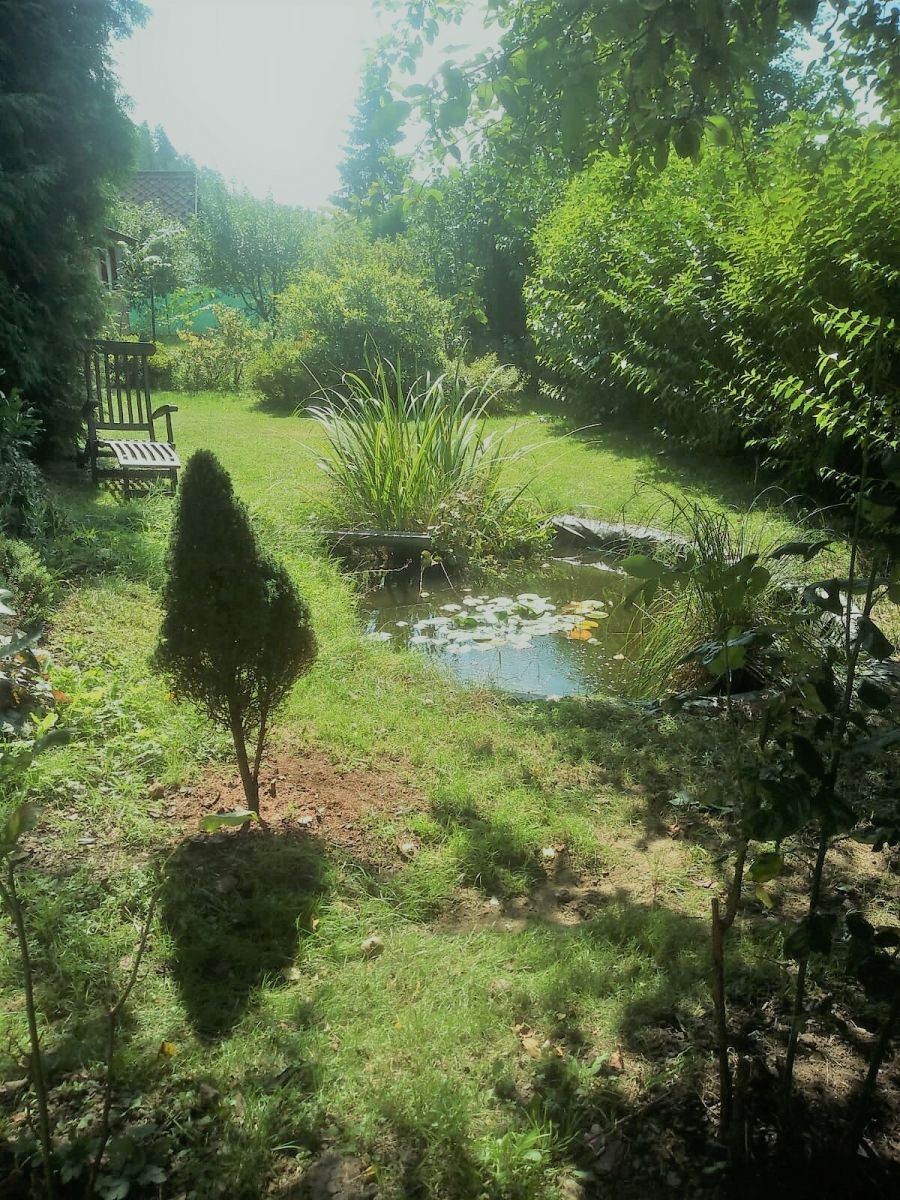 Pronájem chata - Šlemínská, Hradištko - Hradištko pod Medníkem, Středočeský kraj, 35 m² - 2