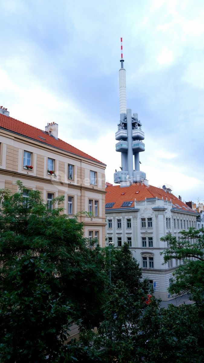 Byt 2+kk · 55 m² · Velehradská, Praha - Vinohrady - 3