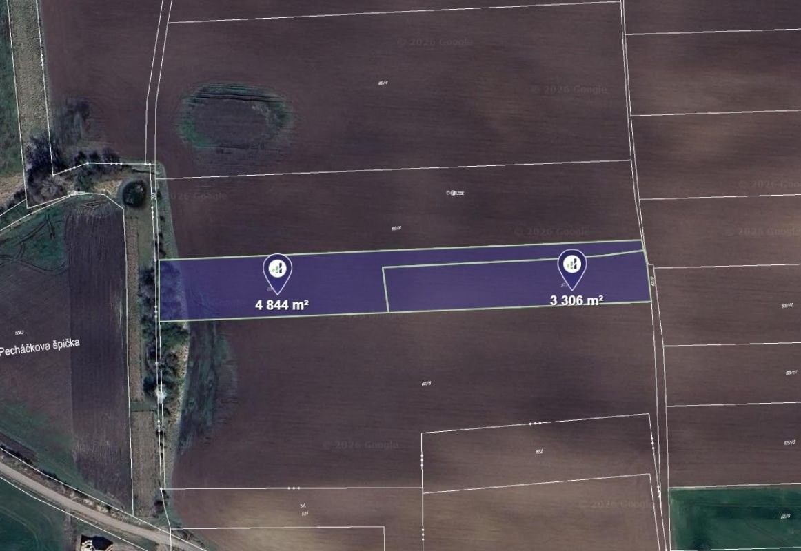 Zemědělské pozemky, Černíky - 1