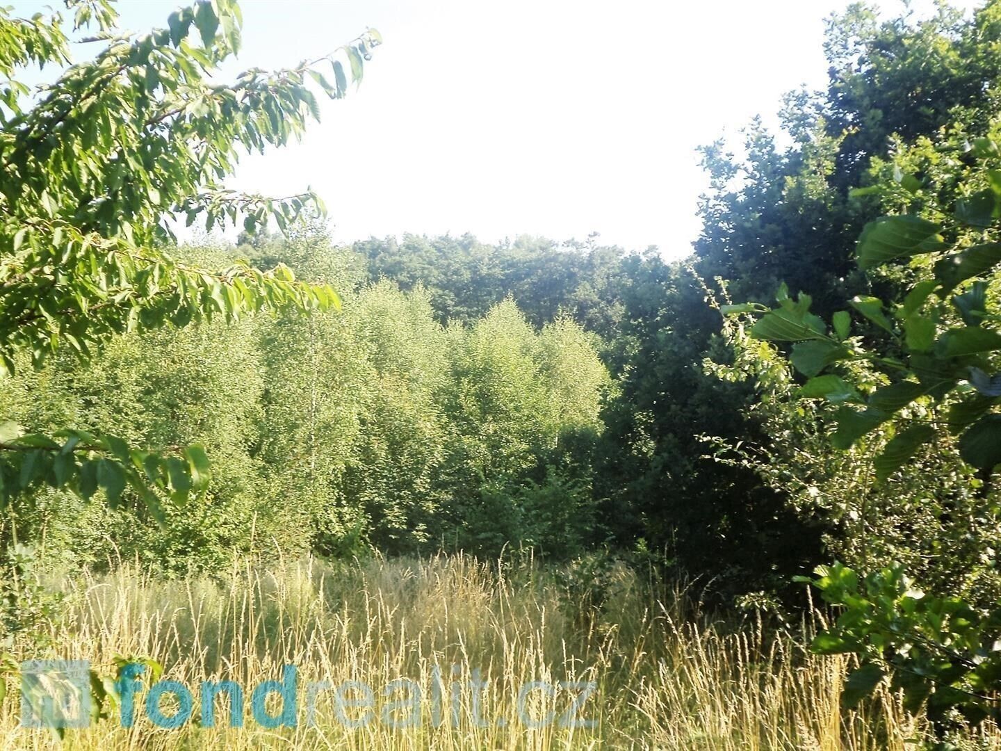 Ostatní, Dětmarovice, 2 629 m²