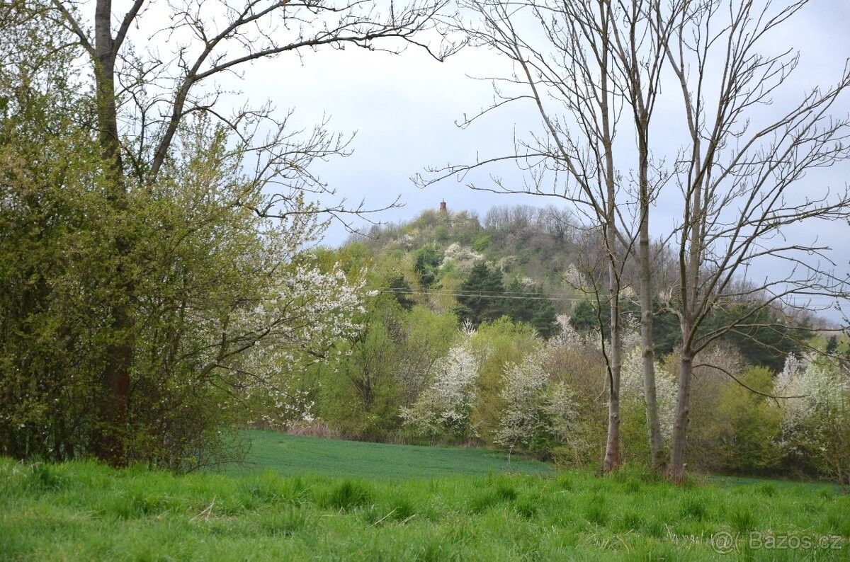 Zahrady, Jičín, 506 01 - 1