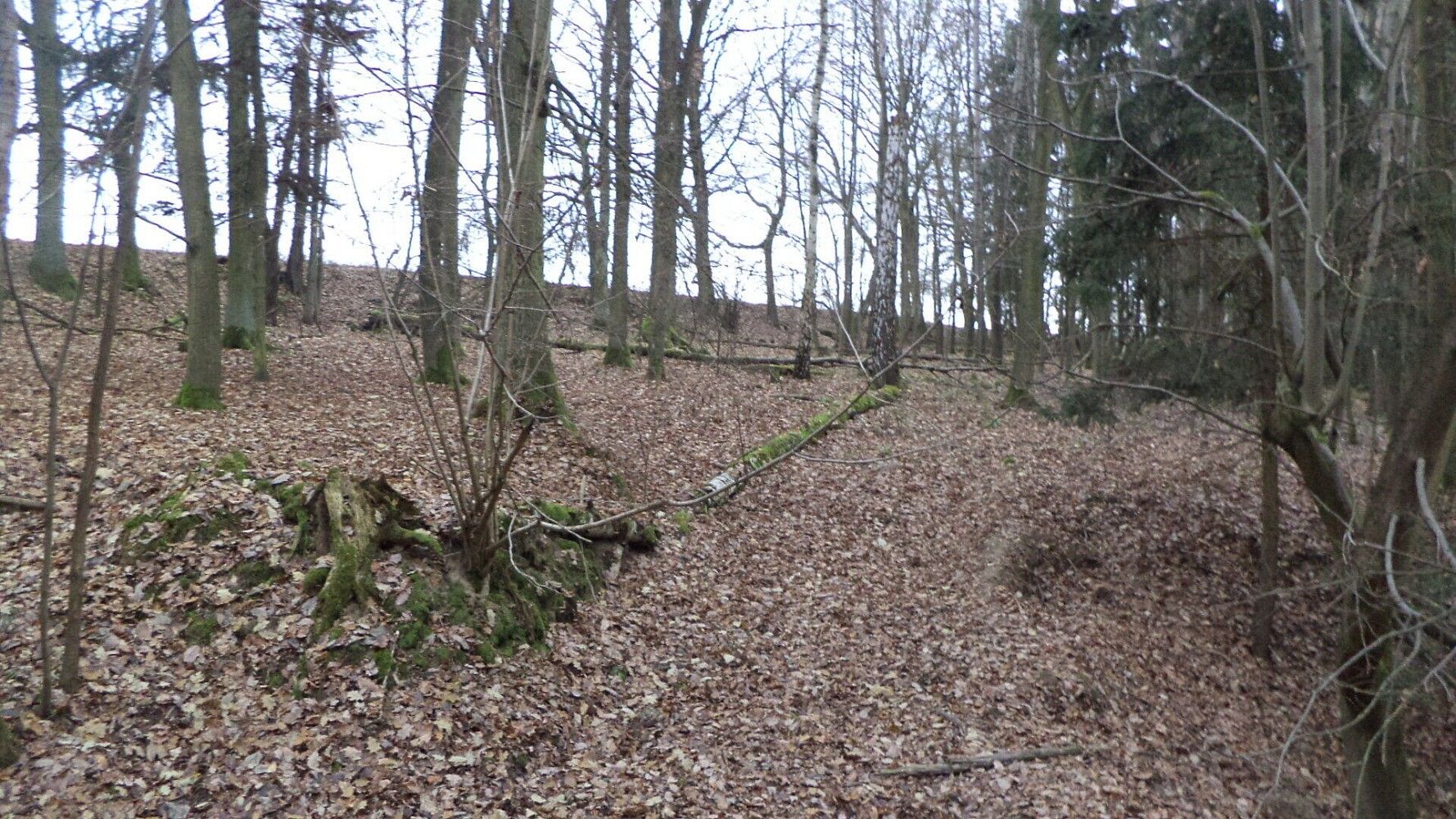 Les, 28 299 m²