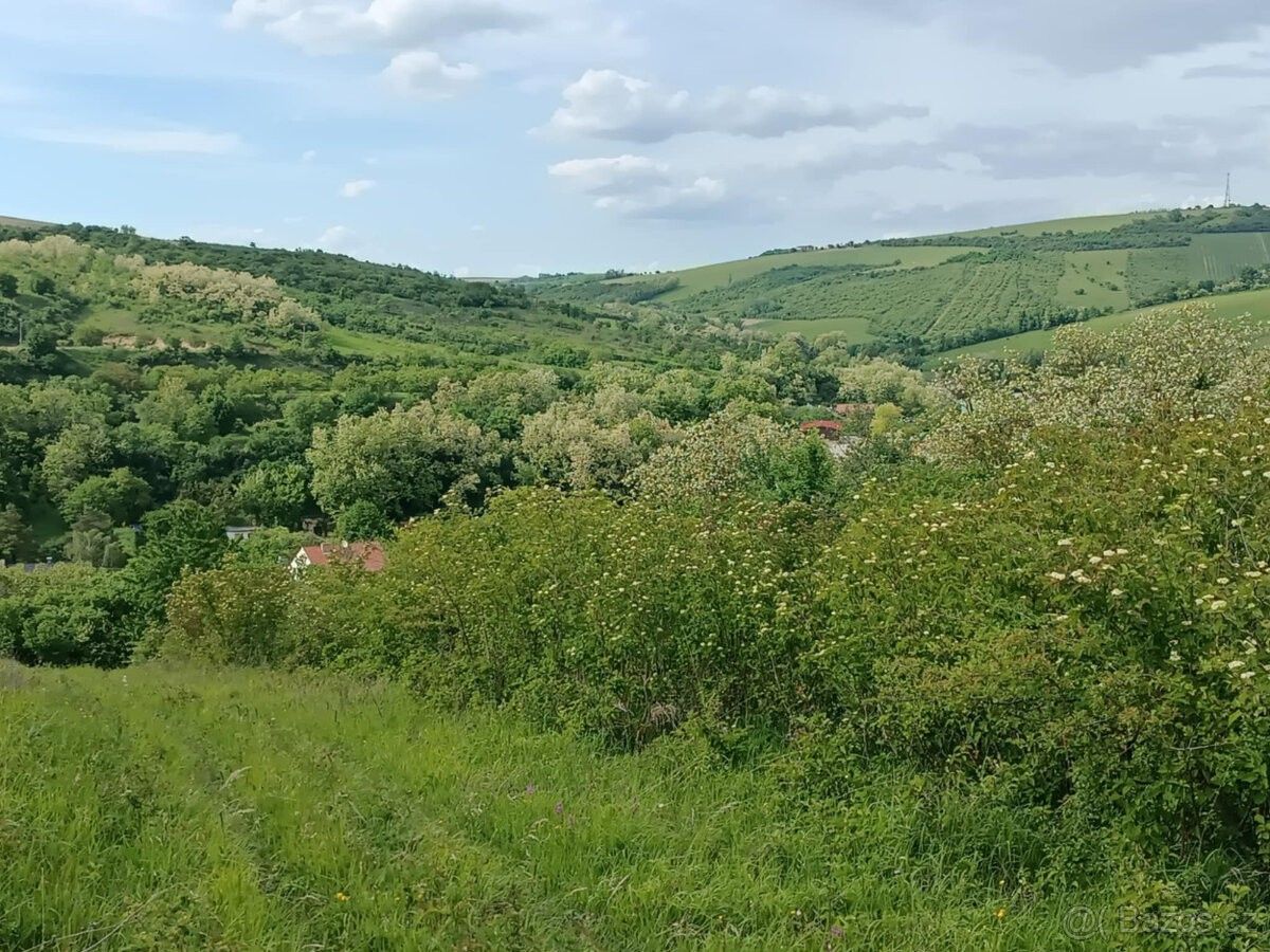 Pozemky pro bydlení, Uherčice u Hustopečí, 691 62