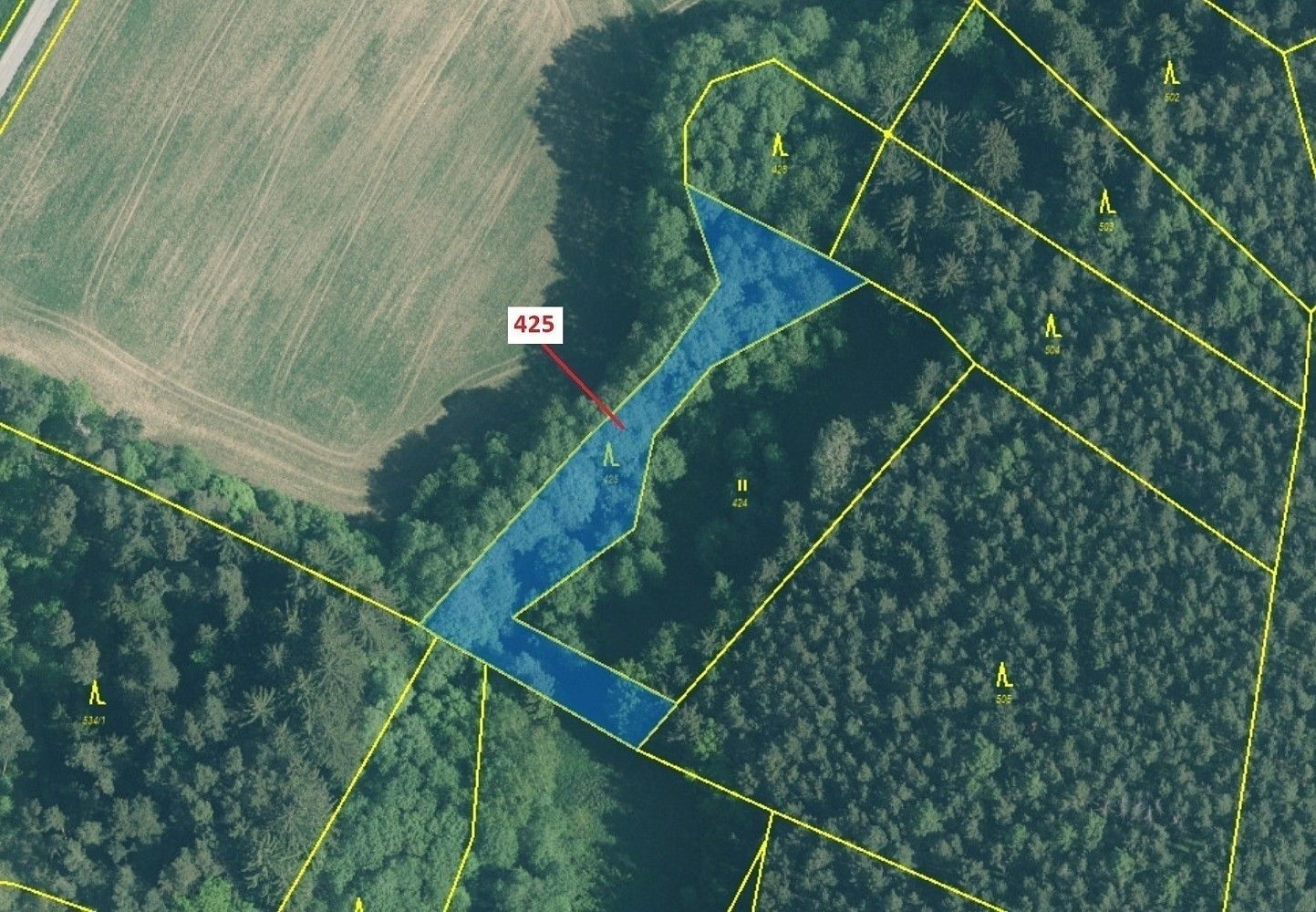 Lesy, Kuřimany - 2
