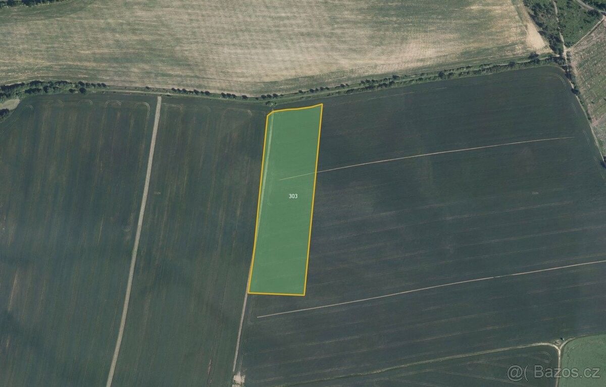 Pozemky pro bydlení, Lesonice, 675 44