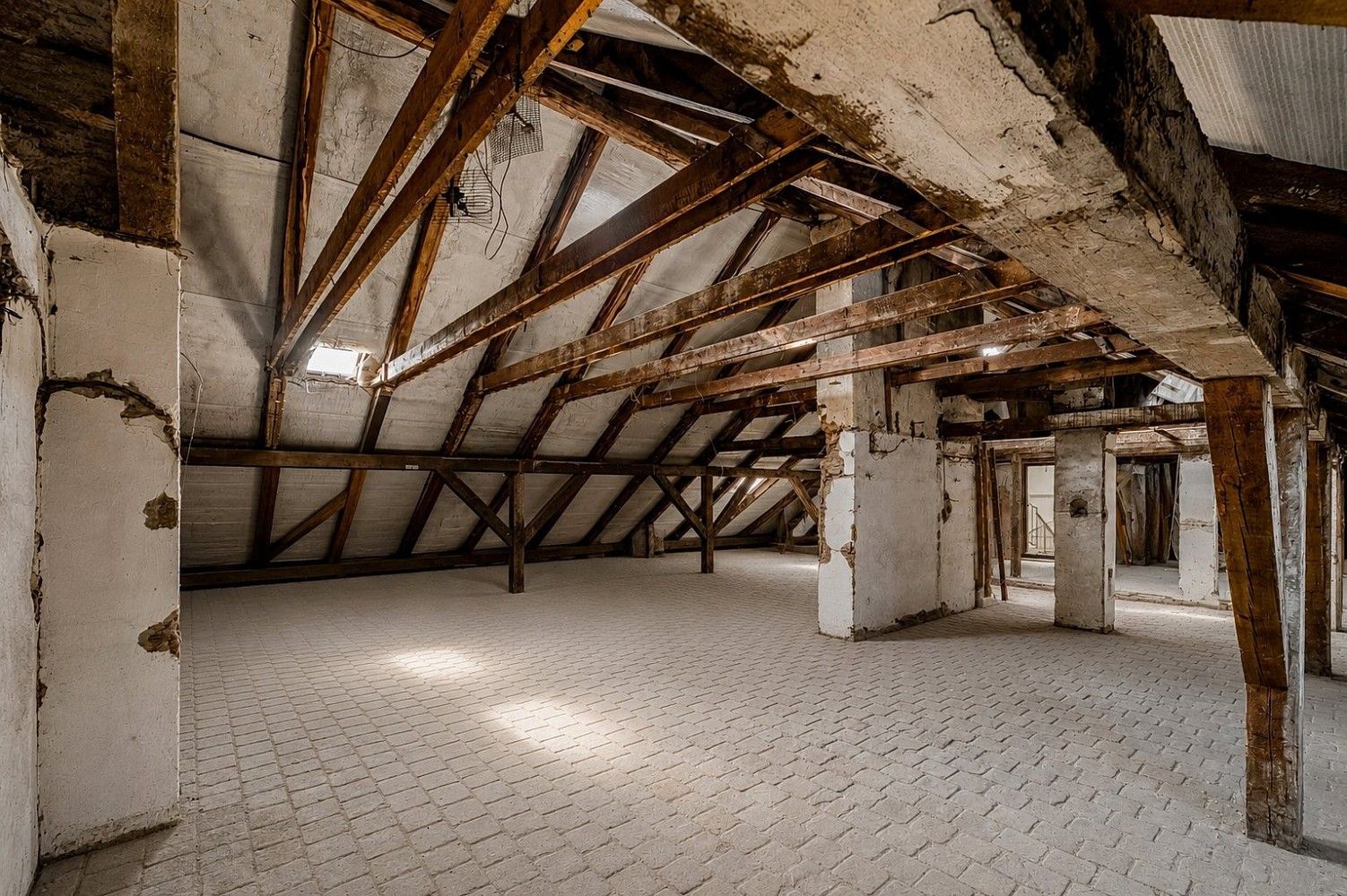 Ostatní, Praha 8 - Libeň, 444 m² - 2