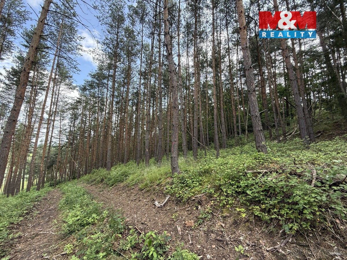 Prodej pozemek pro bydlení - Nový Knín, 262 03