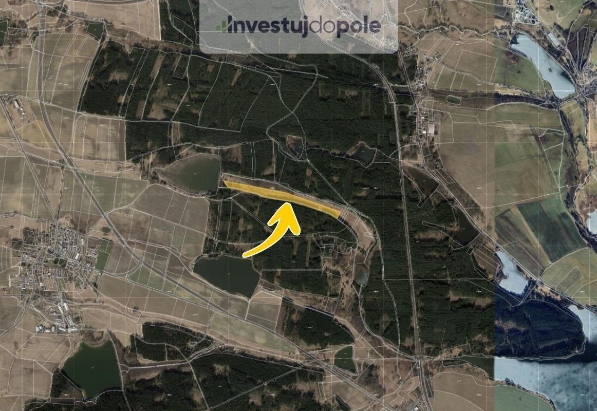 Prodej louka - Trstěnice