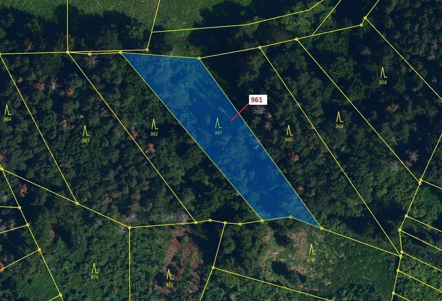 Prodej les - Hornice, okres Třebíč, Kraj Vysočina - 2