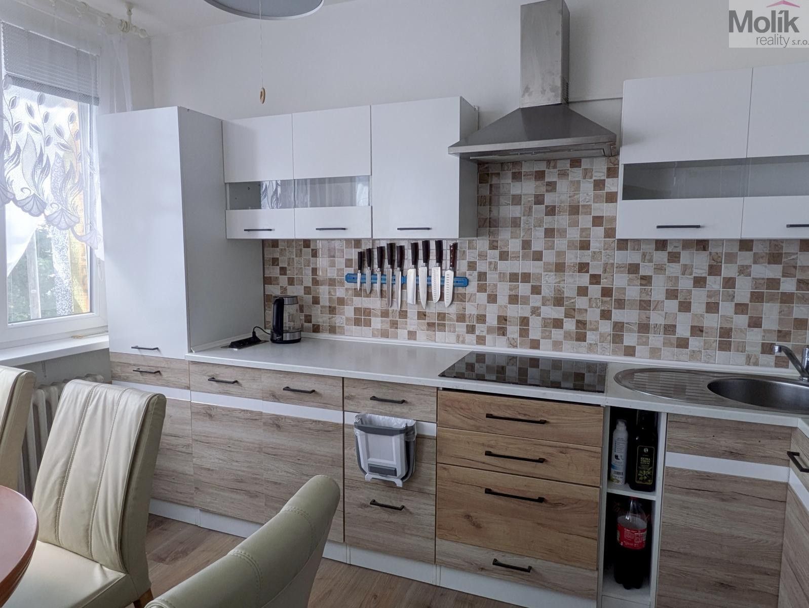 Byt 3+kk · 54 m² · Hlávkova, Teplice - 4