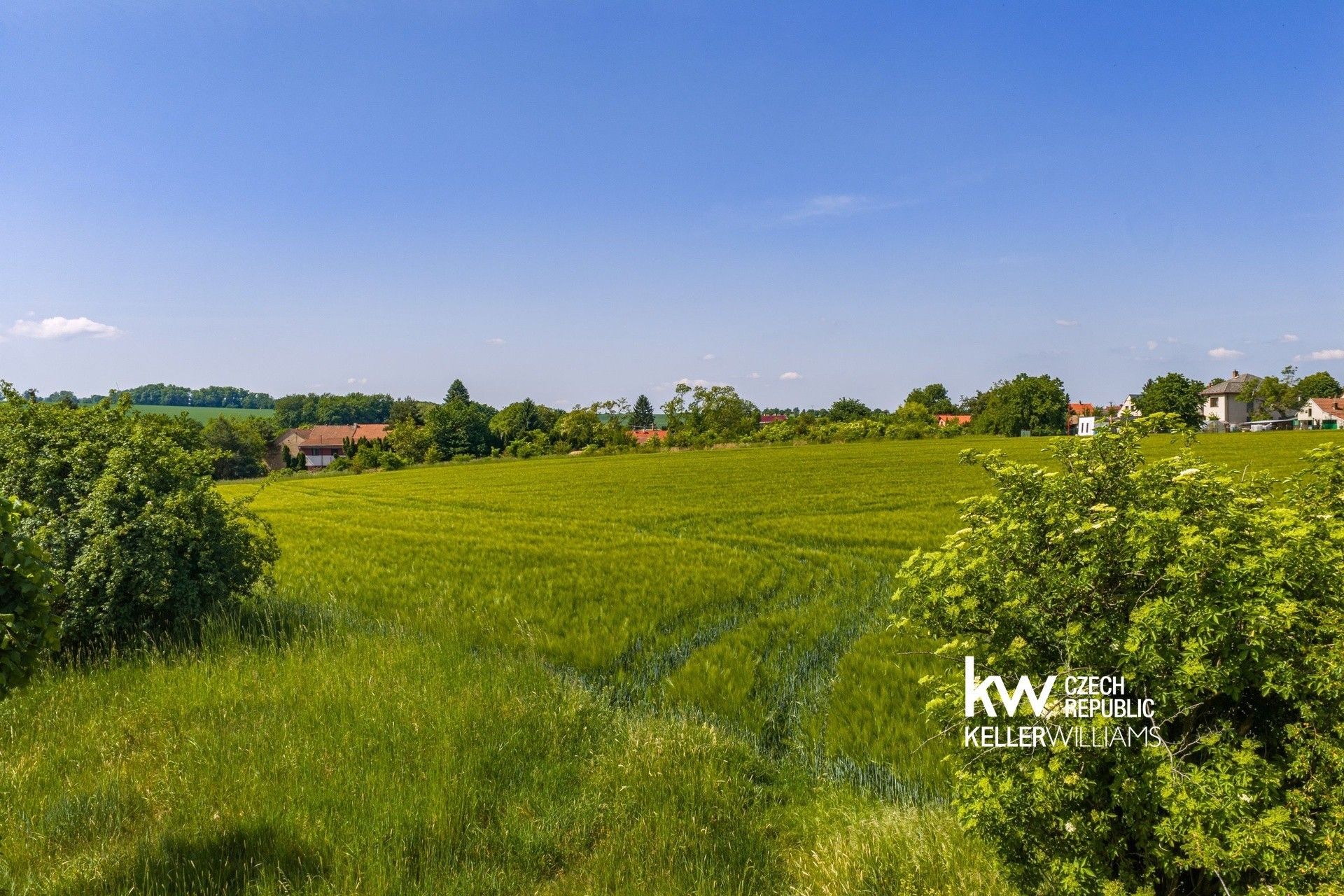 Prodej pozemek pro bydlení - Červené Pečky Bohouňovice I, 6 263 m² - 2