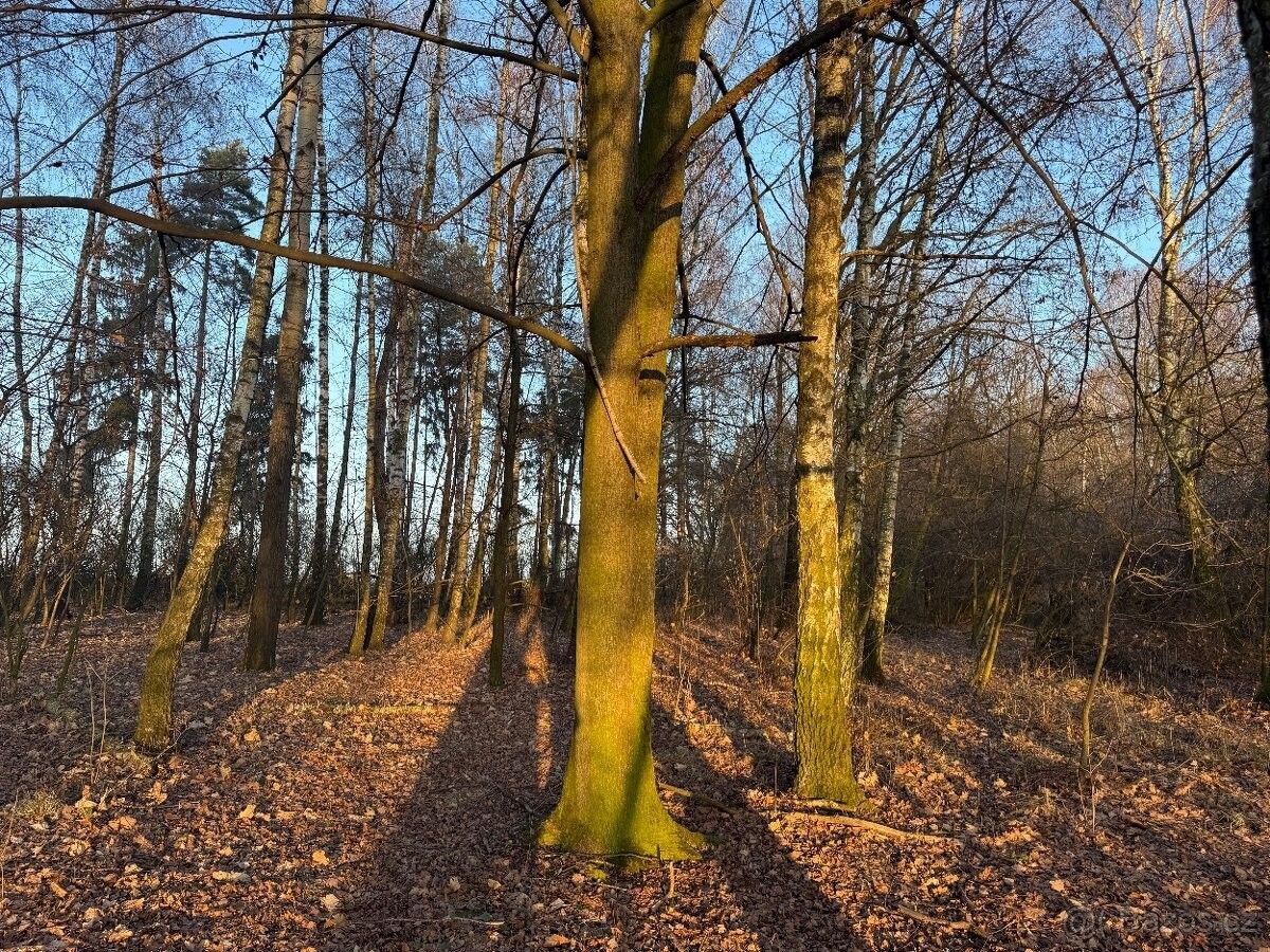 Pozemky pro bydlení, Jistebník, 742 82