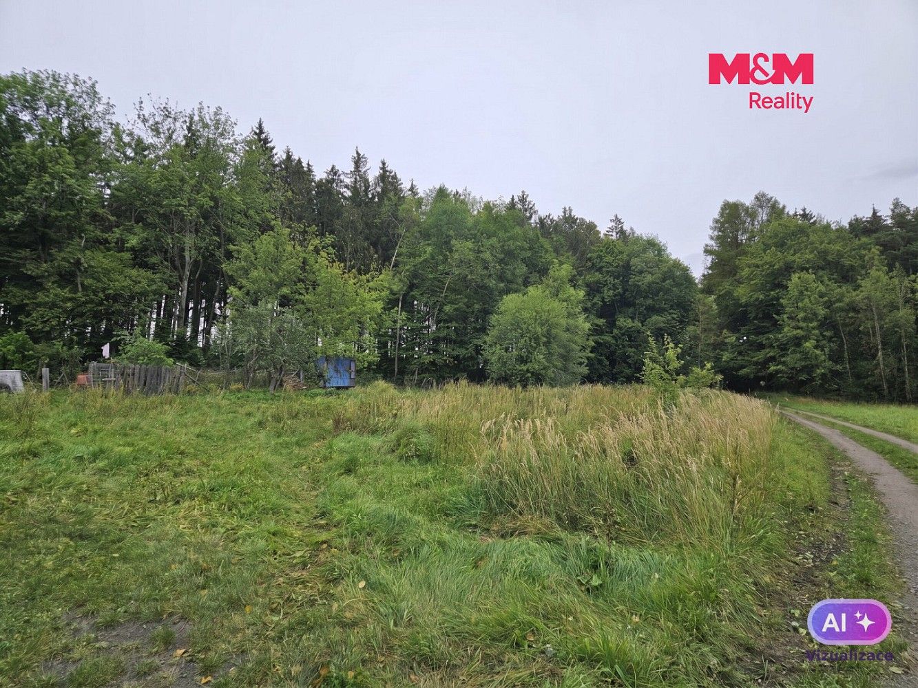 Prodej louka - Hynčina, okres Šumperk, Olomoucký kraj - 2
