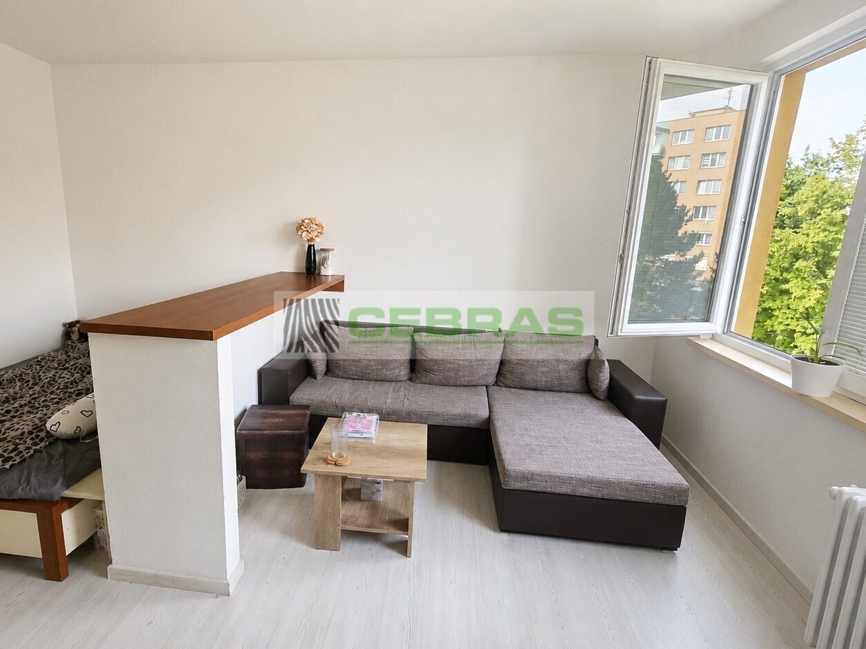 Byt 1+1 · 36 m² · J. Plachty, České Budějovice - 3