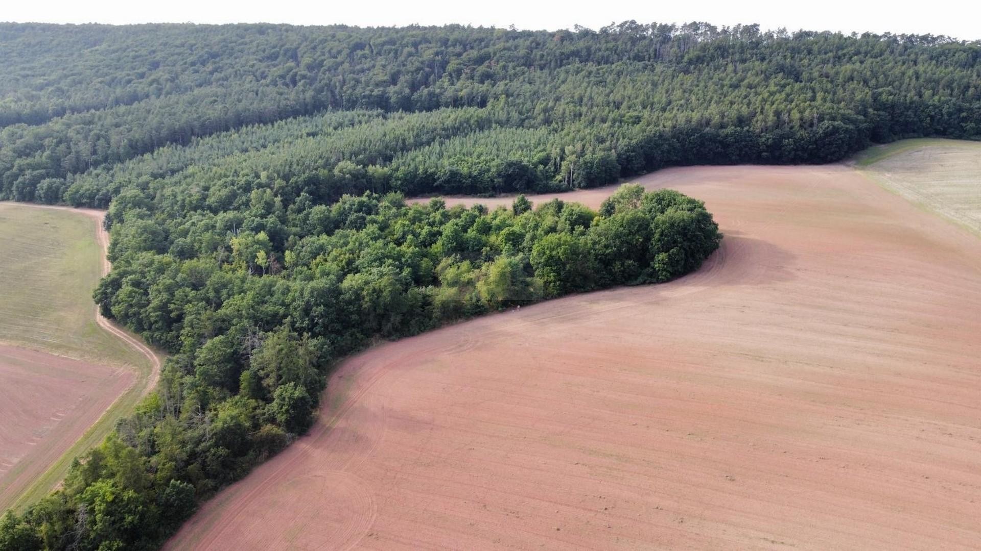 Pozemek · 26 115 m² · Hřešice, Pozdeň - 3