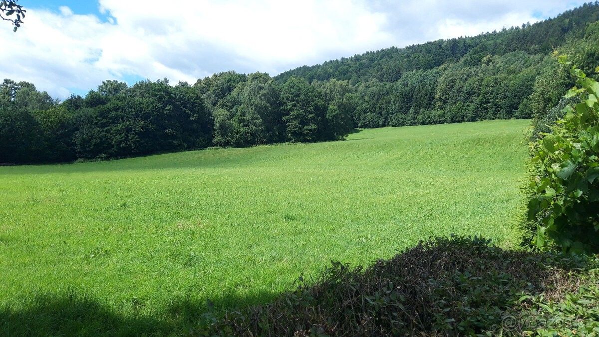 Pozemky pro bydlení, Loučná nad Desnou, 788 11