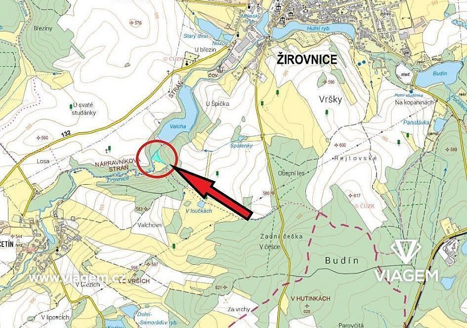 Les · Žirovnice, okres Pelhřimov, Kraj Vysočina - 4