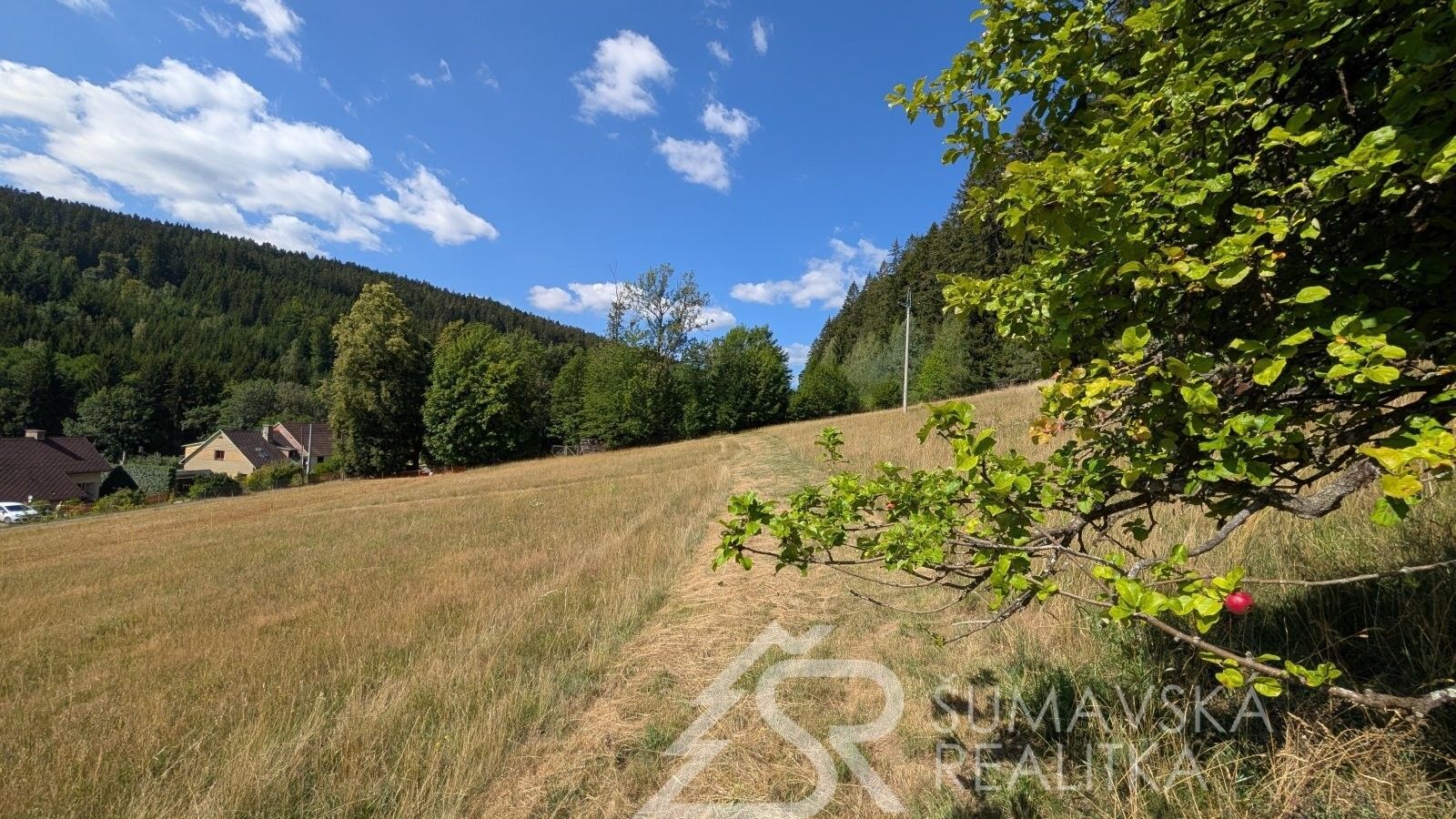 Pozemek pro bydlení · 4 773 m² · Pařezí, Petrovice u Sušice - 4