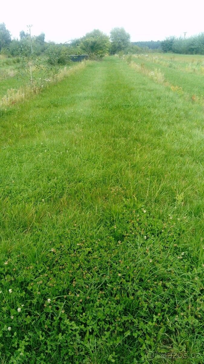 Pronájem zahrada - Hlavečník, 533 15