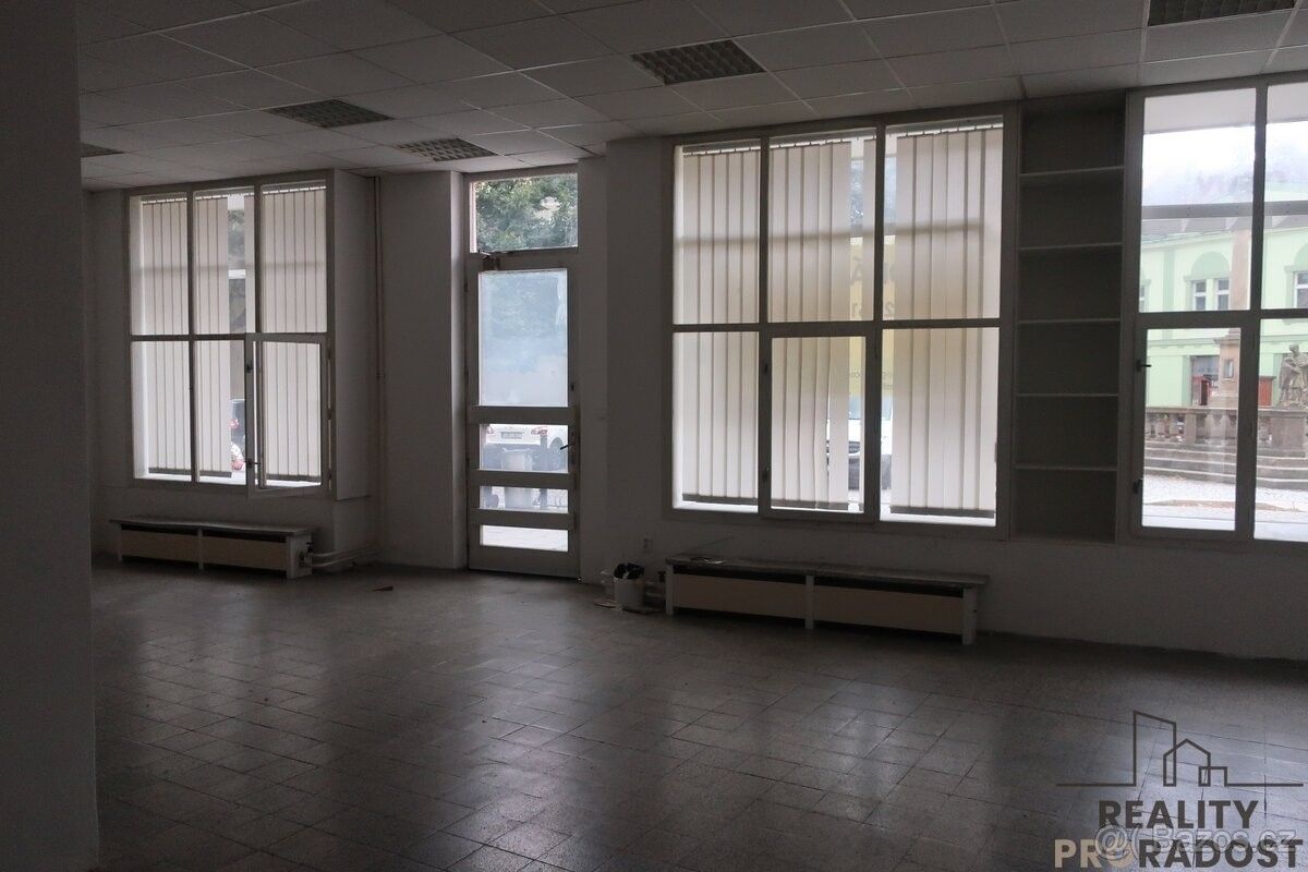 Obchodní prostory, Holešov, 769 01