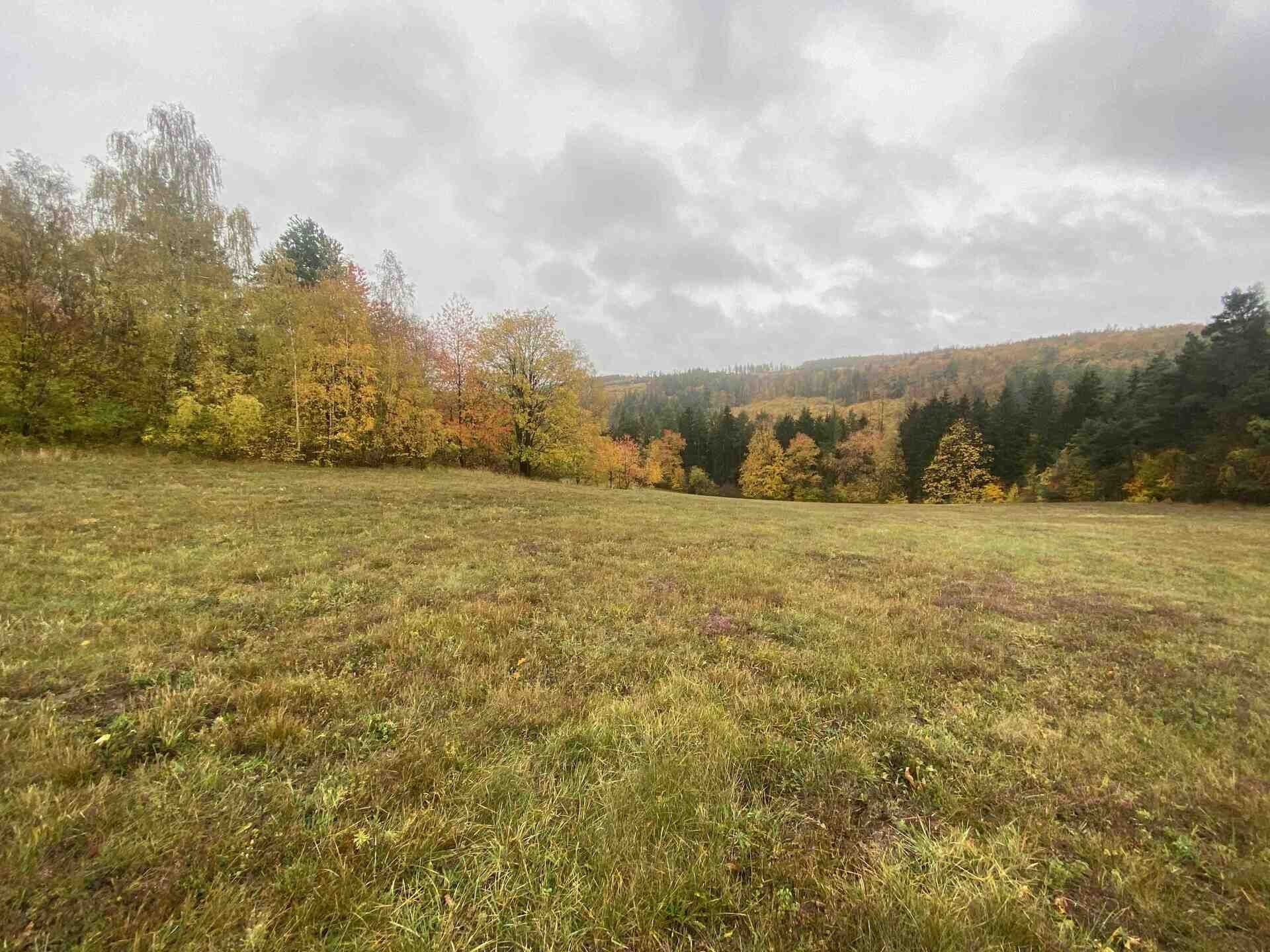 Zemědělský pozemek · 5 380 m² · Lipová - 4