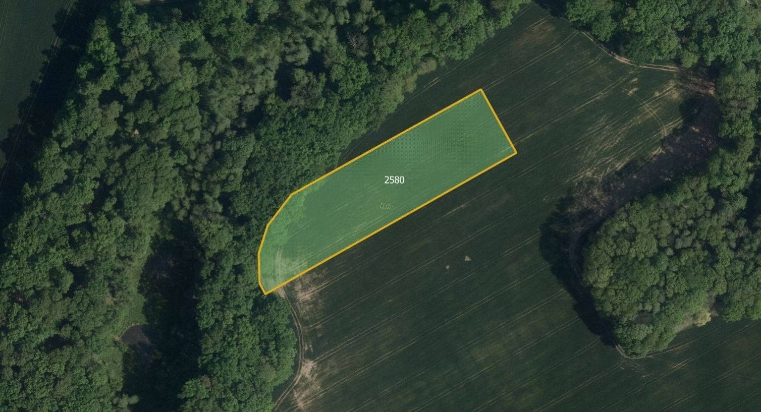 Prodej zemědělský pozemek - Ronov nad Doubravou