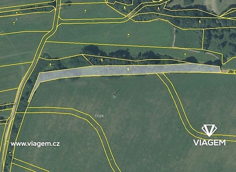 Lesy, Suchdol nad Odrou, okres Nový Jičín, Moravskoslezský kraj