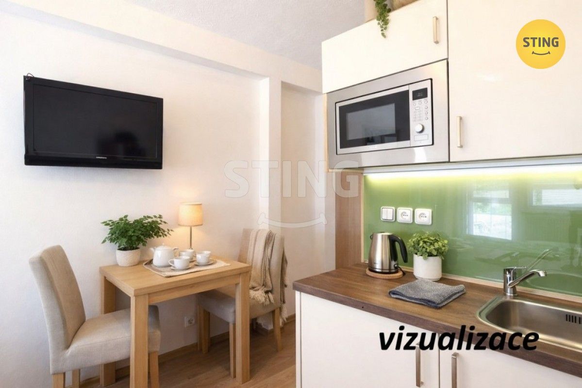 Pronájem byt 1+kk - Všemina, 24 m²