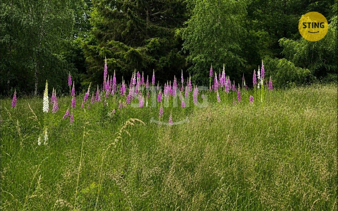 Louka · 6 262 m² · Košařiska - 4