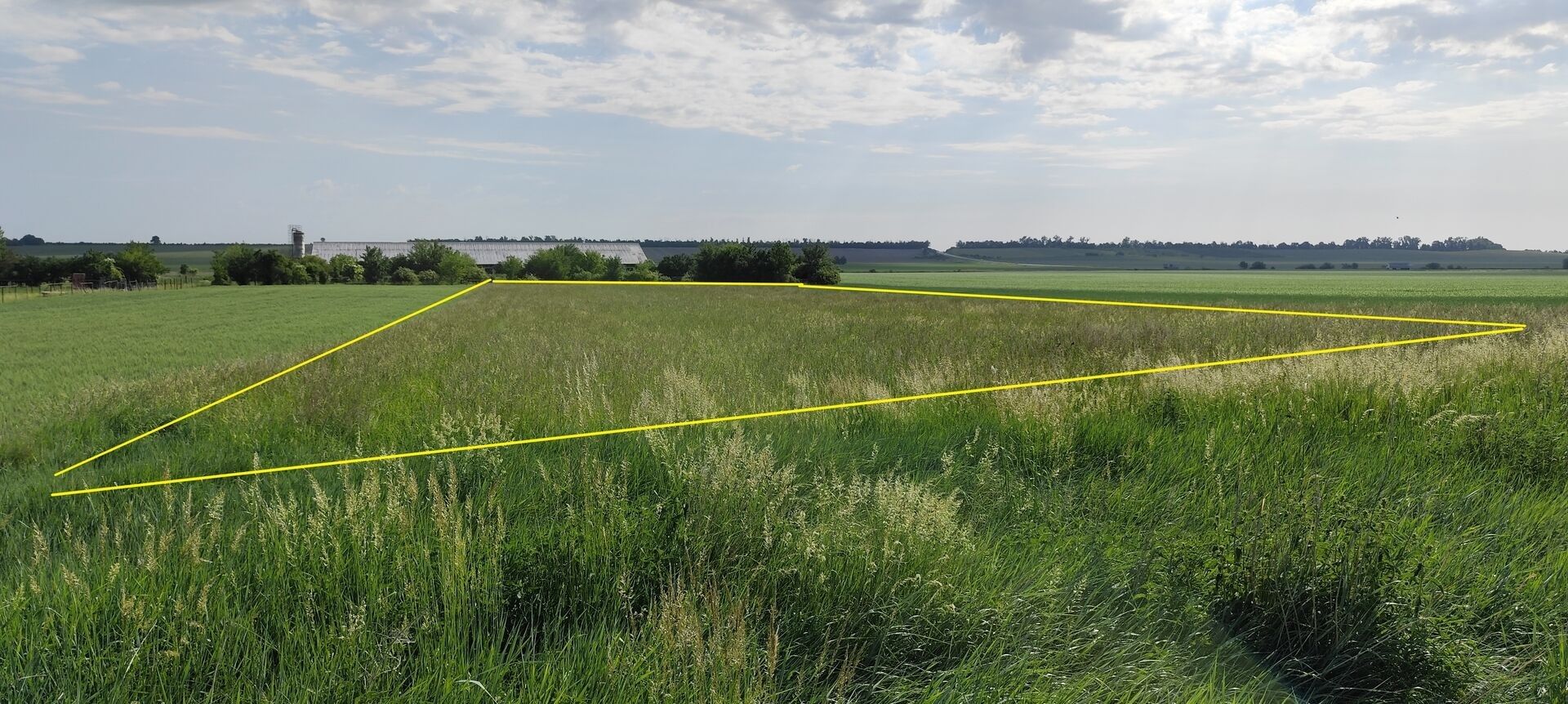 Pozemek pro bydlení · 6 890 m² · Branišovice - 3
