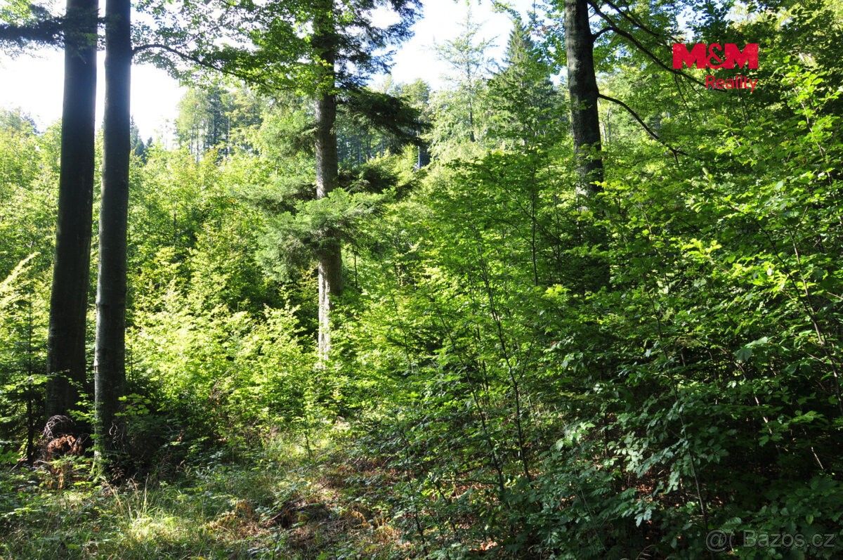 Pozemek pro bydlení · Bystřice nad Olší, 739 95 - 3
