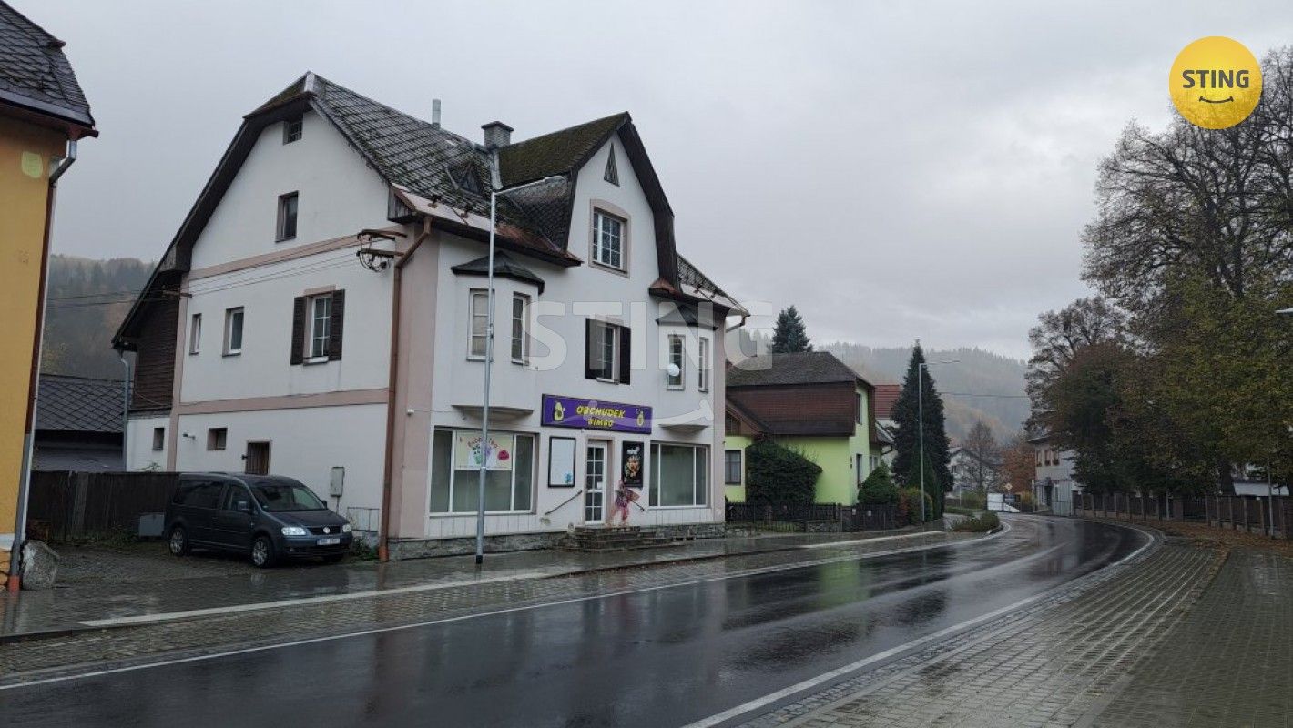 Vily, Hlavní, Hanušovice, 222 m²