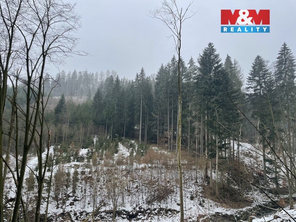 Prodej pozemek pro bydlení - Semily, 513 01