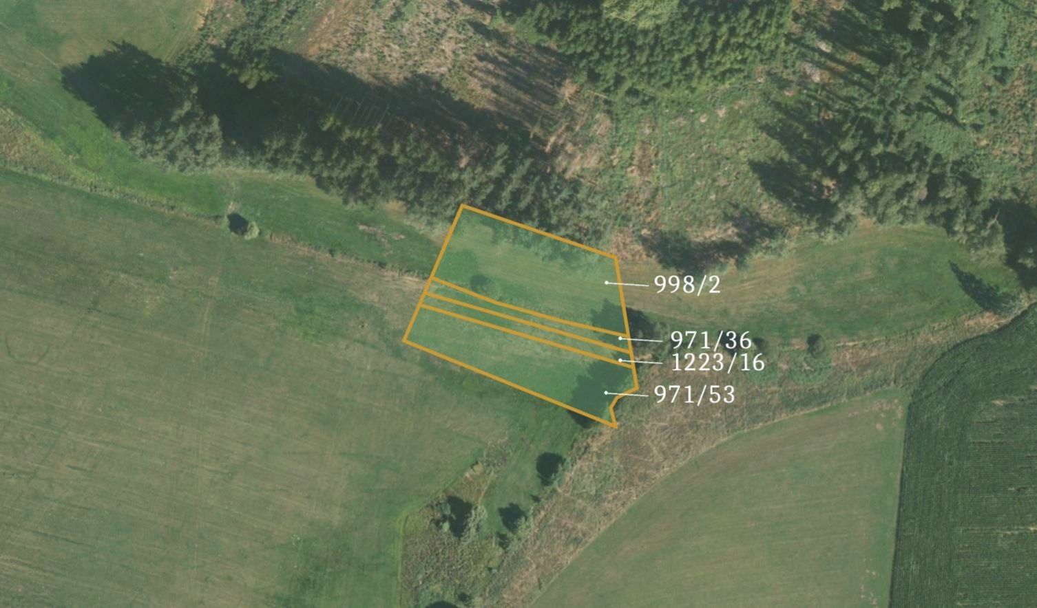 Prodej zemědělský pozemek - Kaliště