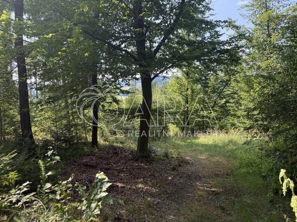 Les · Hostašovice - 3