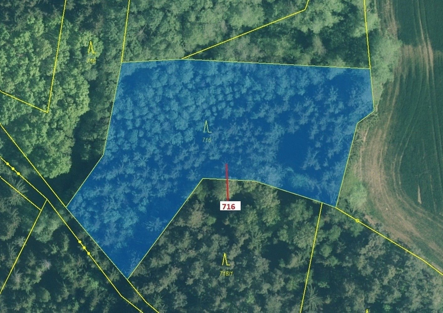 Prodej les - Kuřimany, okres Strakonice, Jihočeský kraj - 2