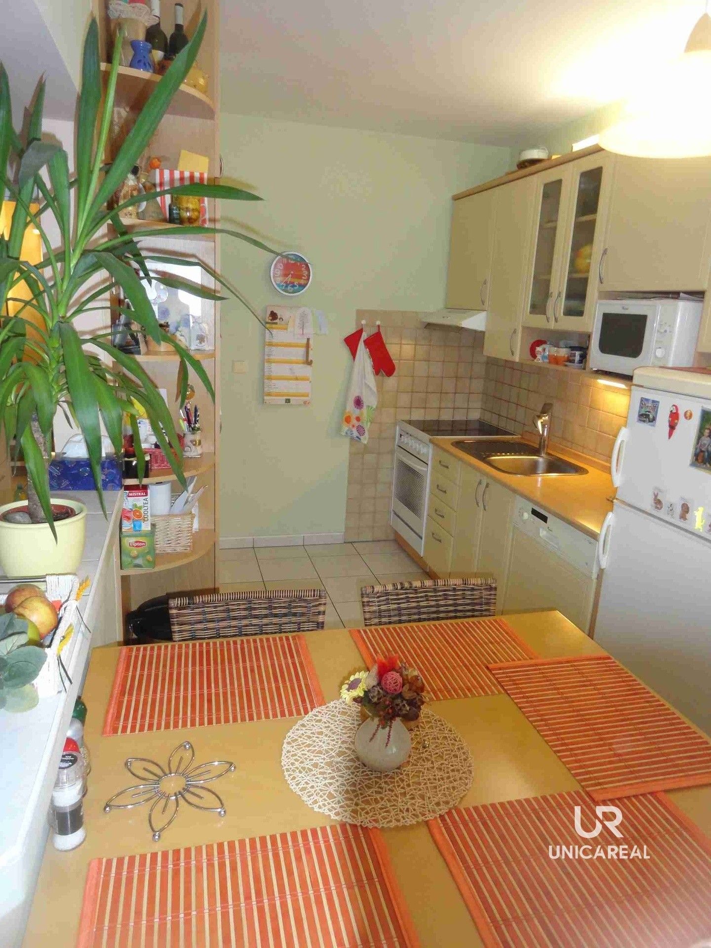 2+1, Koniklecová, Brno, 53 m²