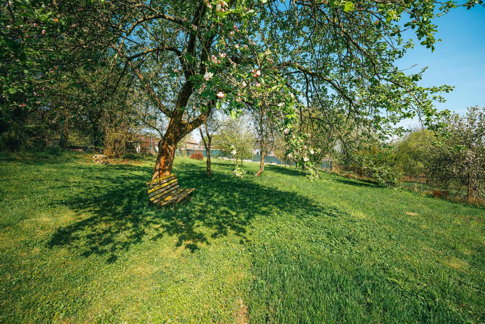 Zahrada · 1 301 m² · Suchonice - 4