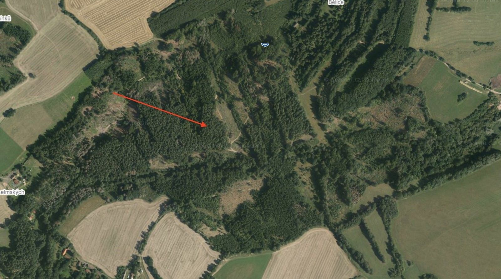 Prodej les - Koberovice - Lohenice, okres Pelhřimov, Kraj Vysočina - 2