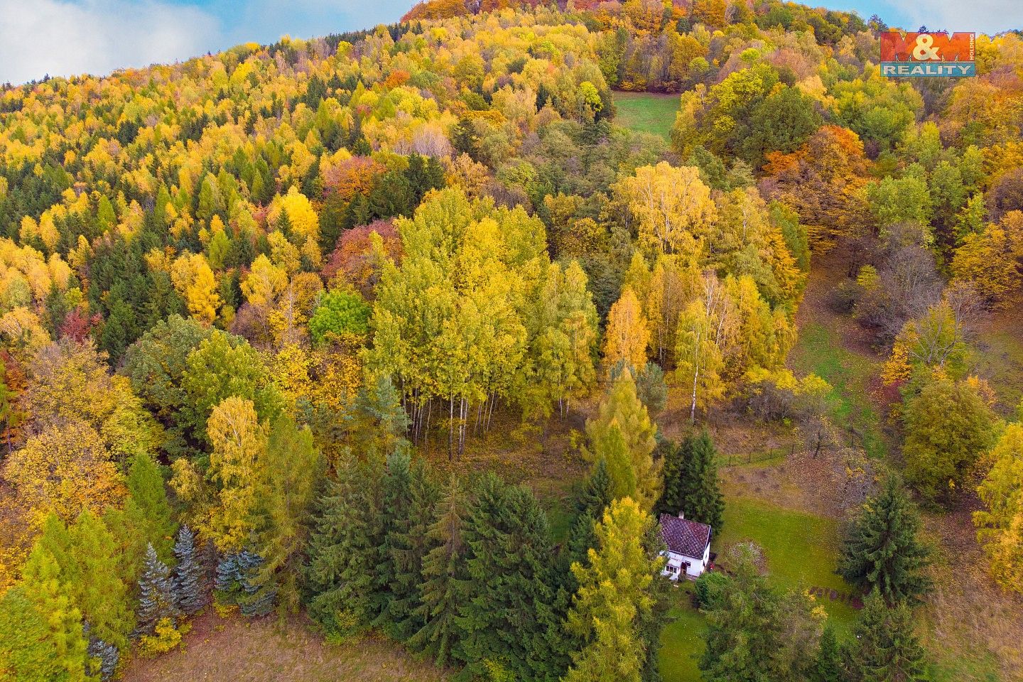 Prodej les - Skalice u České Lípy, okres Česká Lípa, Liberecký kraj - 5
