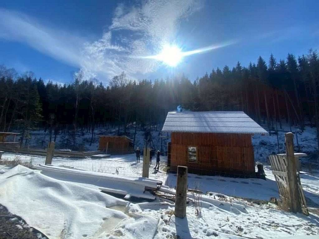 Chaty, Jindřichov - Pusté Žibřidovice, Olomoucký kraj - 2