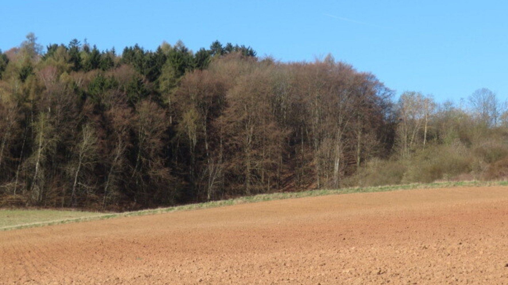 Prodej zemědělský pozemek - Rakovník, Středočeský kraj - 2