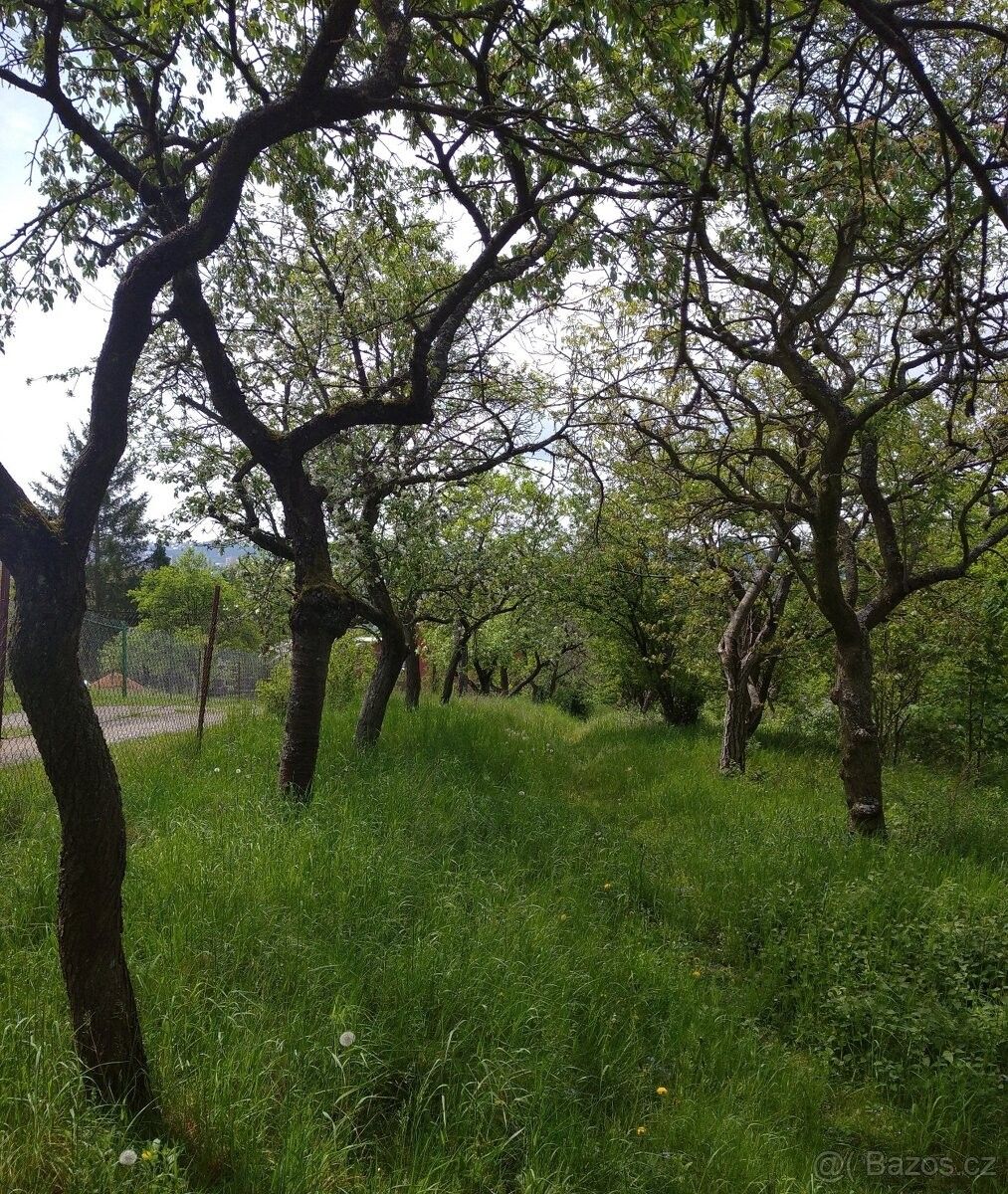 Pronájem pozemek pro bydlení - Brno, 602 00