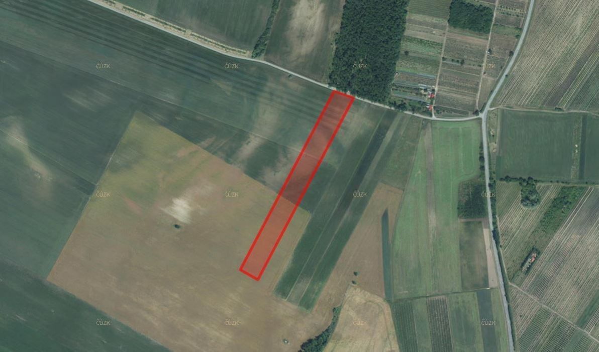 Prodej zemědělský pozemek - Valtice, 6 833 m²