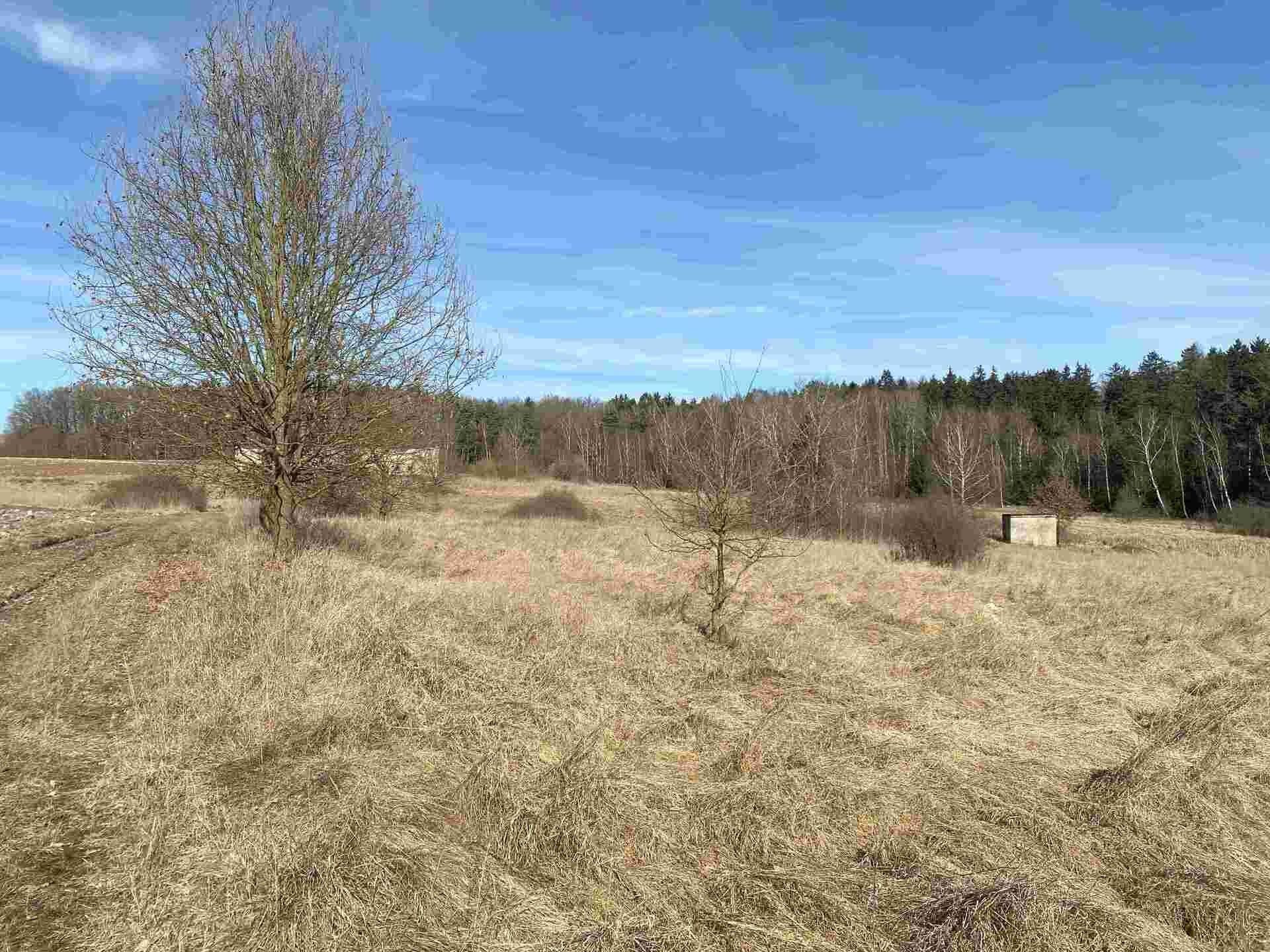 Prodej pozemek - Františkovy Lázně, 2 m²