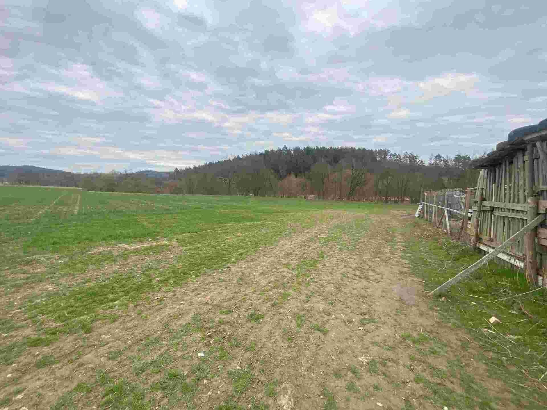 Pozemek · 4 837 m² · Žinkovy - 3