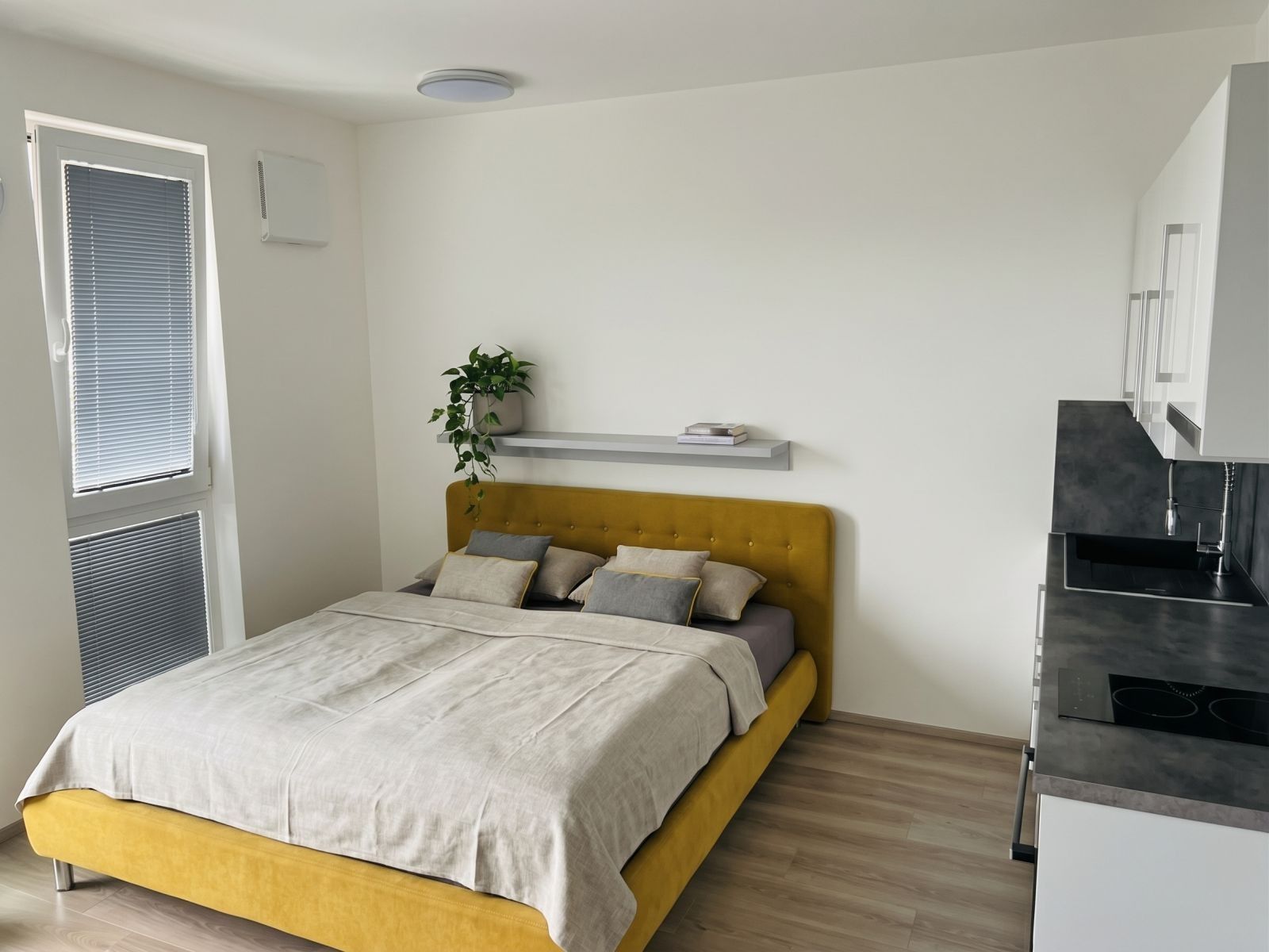 Byt 1+kk · 38 m² · Kollárova, Plzeň - Plzeň, Plzeňský kraj - 4