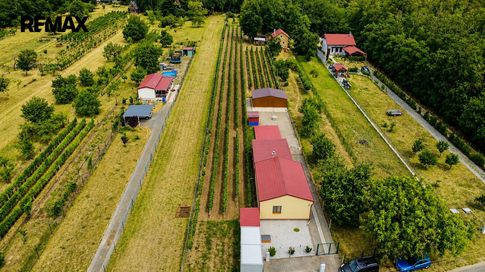 Zahrady, Břeclav, 1 560 m² - 2
