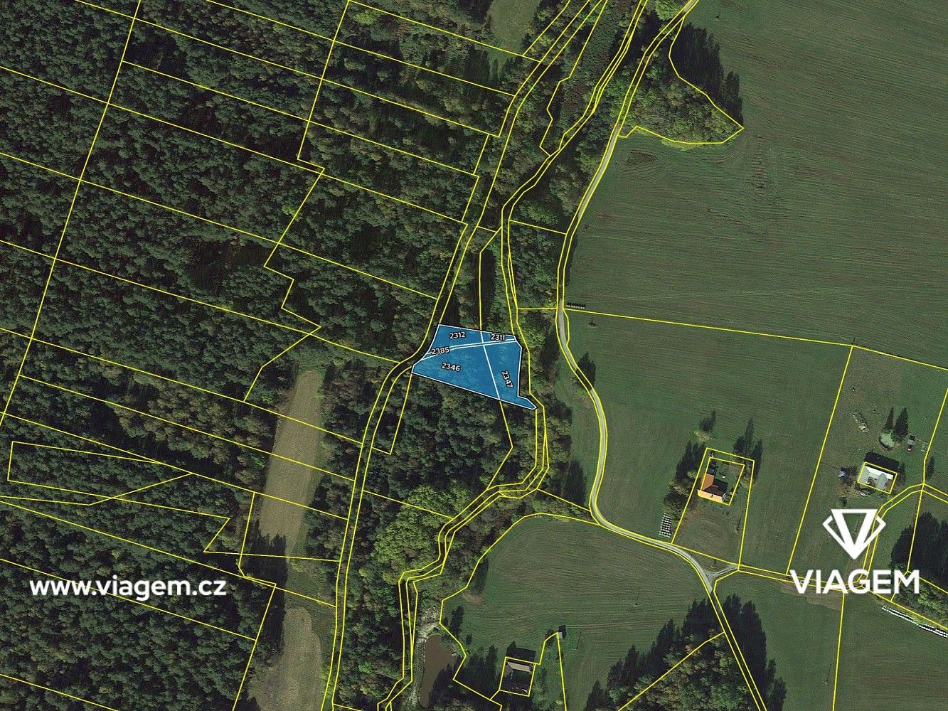 Les · Suchdol nad Lužnicí, okres Jindřichův Hradec, Jihočeský kraj - 4